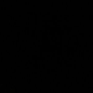 Meet your Posher, Roy