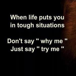 Meet your Posher, Dees