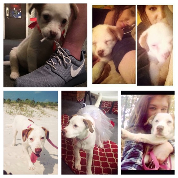 Meet the Posher - Picture 3 of 4