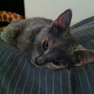 Meet your Posher, Nicole