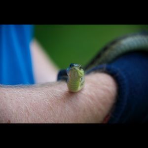 Meet your Posher, Peter