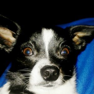 Meet your Posher, Andrea