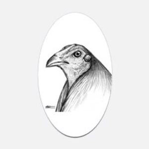 Meet your Posher, Sergio