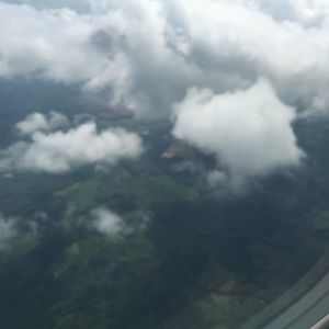 Meet your Posher, Bradley