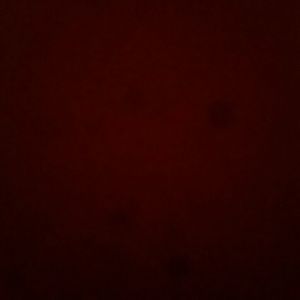 Meet your Posher, Roberto