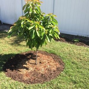 Meet your Posher, Joan