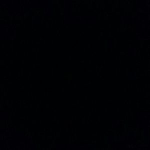 Meet your Posher, Naomi