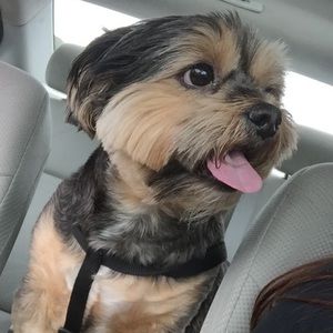 Meet your Posher, Yolanda