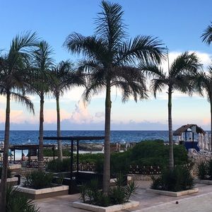 Meet your Posher, Martha