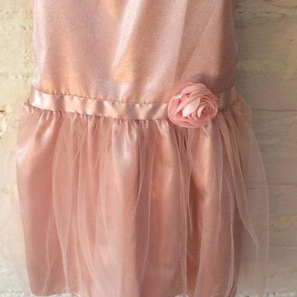 🌸🌸🌸Carter's ballet pink shimmer dress