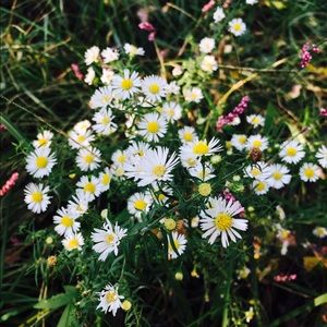 Meet your Posher, Janessa