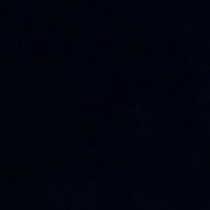 Meet your Posher, Buddy