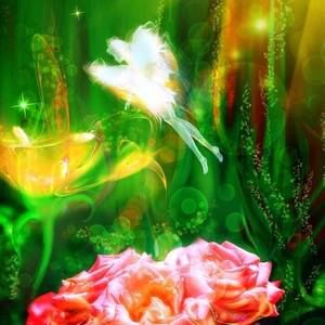 Meet your Posher, Donah