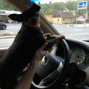 Meet your Posher, Eileen