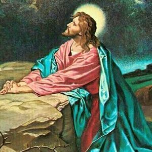 Meet your Posher, Berries