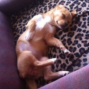 Meet your Posher, Renae