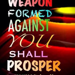 Meet your Posher, Terri