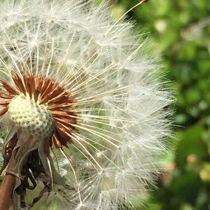 Meet your Posher, Cory