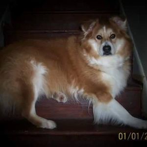 Meet your Posher, Mary-anna