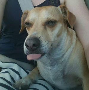 Meet your Posher, Angelique