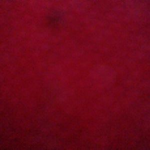 Meet your Posher, Liz