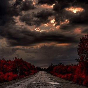 Meet your Posher, Dani