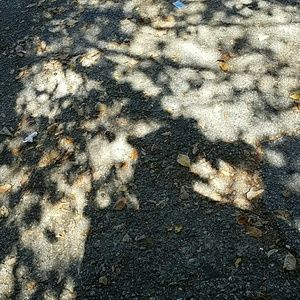 Meet your Posher, Jeffrey