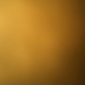 Meet your Posher, Oneil