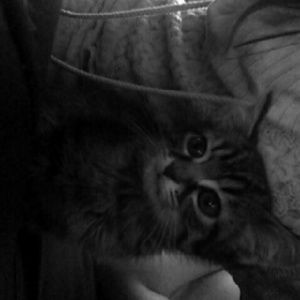 Meet your Posher, Skye