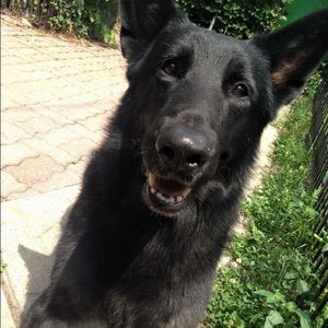 Meet your Posher, Agata