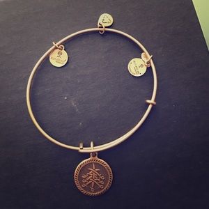 Alex and Ani Integrity Bracelet