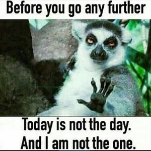 Meet your Posher, Thomas