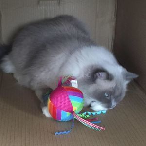 Meet your Posher, Janette