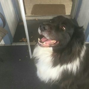 Meet your Posher, Janice e