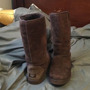 Classic tall chocolate ugg boots