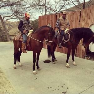 Meet your Posher, Kevin