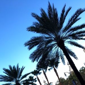 Meet your Posher, Kiley