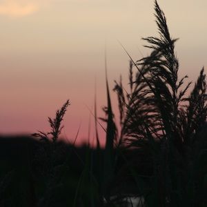 Meet your Posher, Mallory