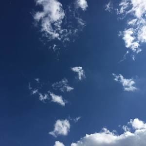 Meet your Posher, Hung