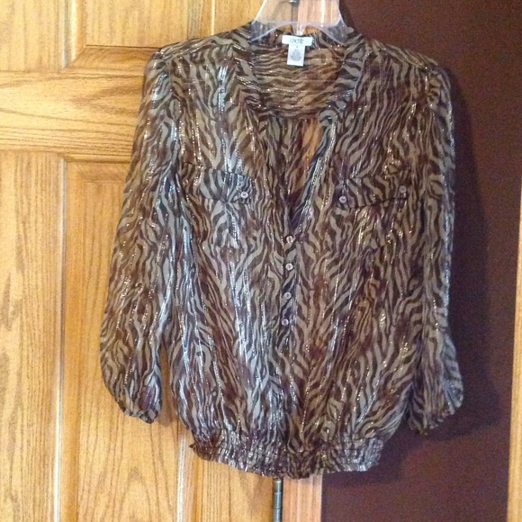 Beautiful sheer blouse.