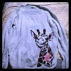 Hollister sweater
