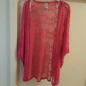 Mesh coverup