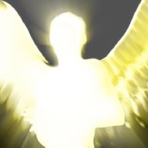 Meet your Posher, Steve