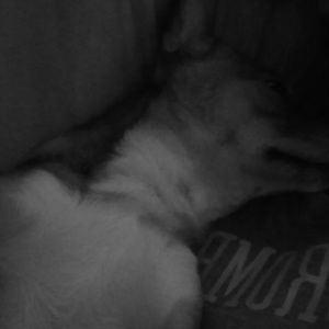 Meet your Posher, Natasha