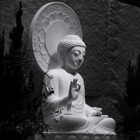 Meet your Posher, Isabel - Picture 1 of 1