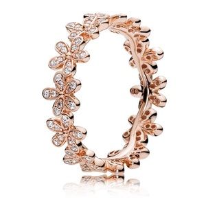 Dazzling Daisy Band, Pandora Rose