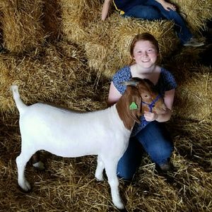 Meet your Posher, Dawn