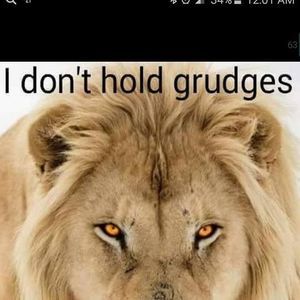 Meet your Posher, Ian