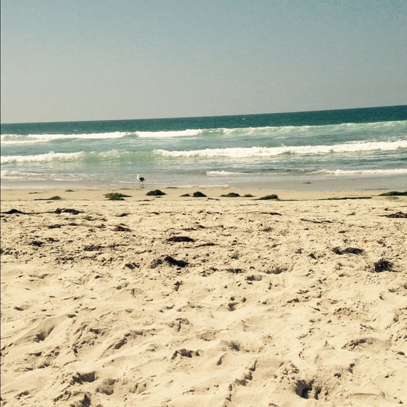 Meet your Posher, Missy