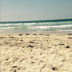 Meet your Posher, Missy